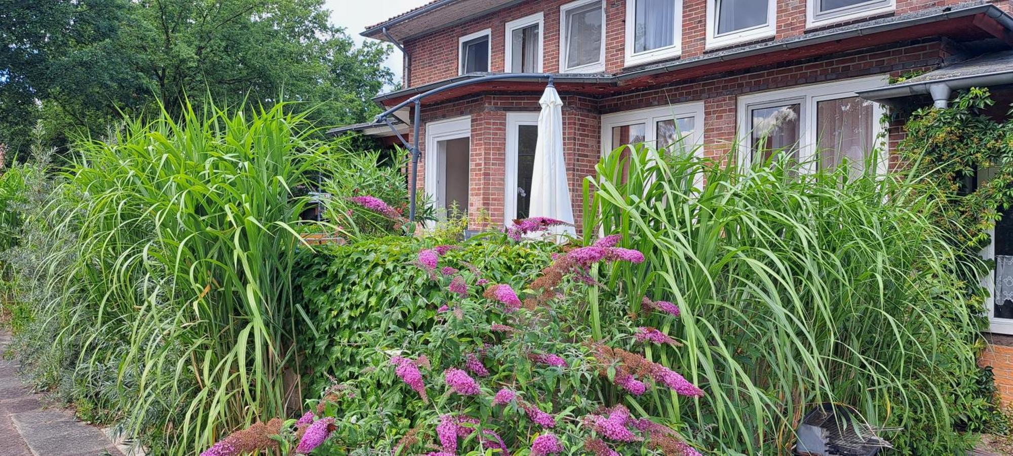 Schillers Landhaus Neu Darchau ภายนอก รูปภาพ